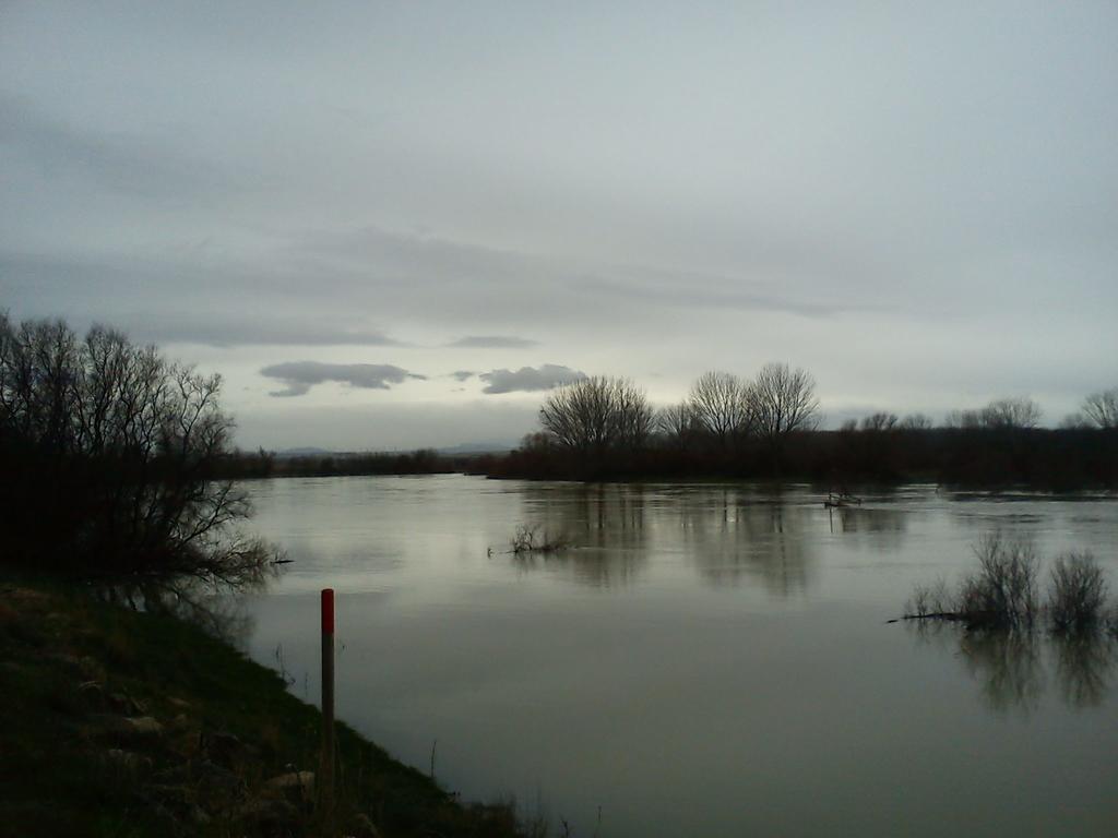 La Palmera De La Insula Alcala de Ebro Dış mekan fotoğraf