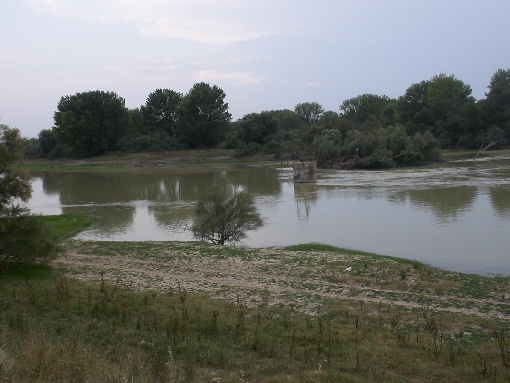La Palmera De La Insula Alcala de Ebro Dış mekan fotoğraf