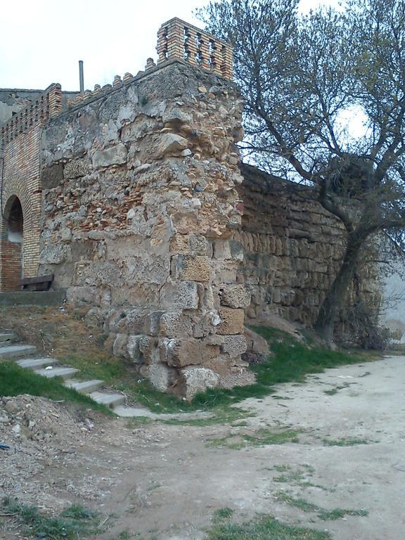 La Palmera De La Insula Alcala de Ebro Dış mekan fotoğraf